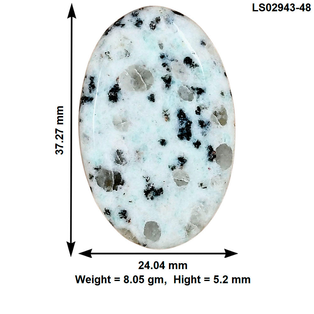 Sesame Jasper 37.27x24.04x5.2 mm Oval Gemstone LS02943-48