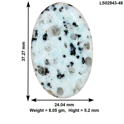 Sesame Jasper 37.27x24.04x5.2 mm Oval Gemstone LS02943-48