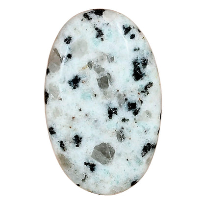 Sesame Jasper 34.09x21.57x5.2 mm Oval Gemstone LS02944-48