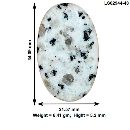 Sesame Jasper 34.09x21.57x5.2 mm Oval Gemstone LS02944-48