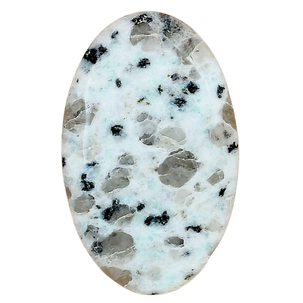 Sesame Jasper 37.3x23.3x5 mm Oval Gemstone LS02945-48