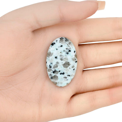 Sesame Jasper 37.3x23.3x5 mm Oval Gemstone LS02945-48