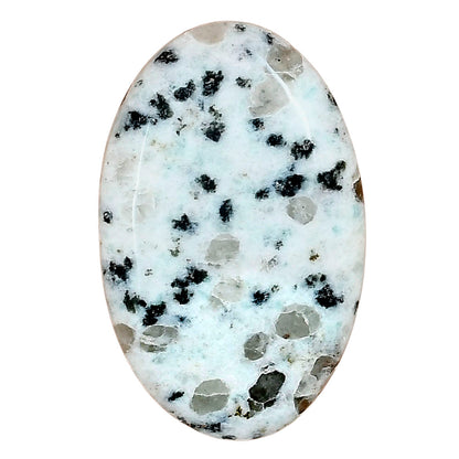 Sesame Jasper 36.4x23.15x6.2 mm Oval Gemstone LS02946-48