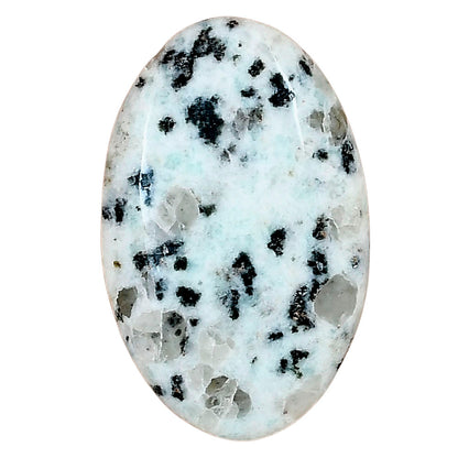 Sesame Jasper 35x22x5.5 mm Oval Gemstone LS02948-48