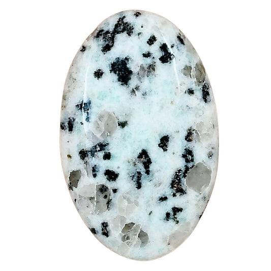 Sesame Jasper 35x22x5.5 mm Oval Gemstone LS02948-48