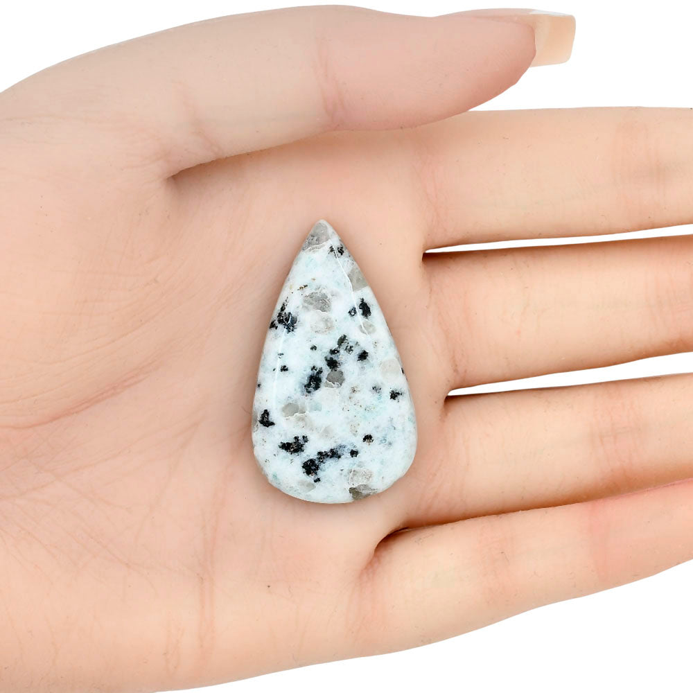 Sesame Jasper 38.55x22.46x6.2 mm Pear Gemstone LS02949-48