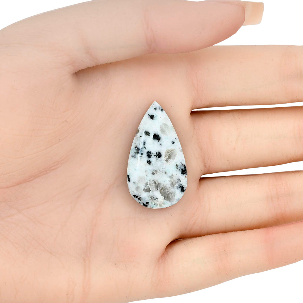 Sesame Jasper 31.3x27.54x6 mm Pear Gemstone LS02950-48