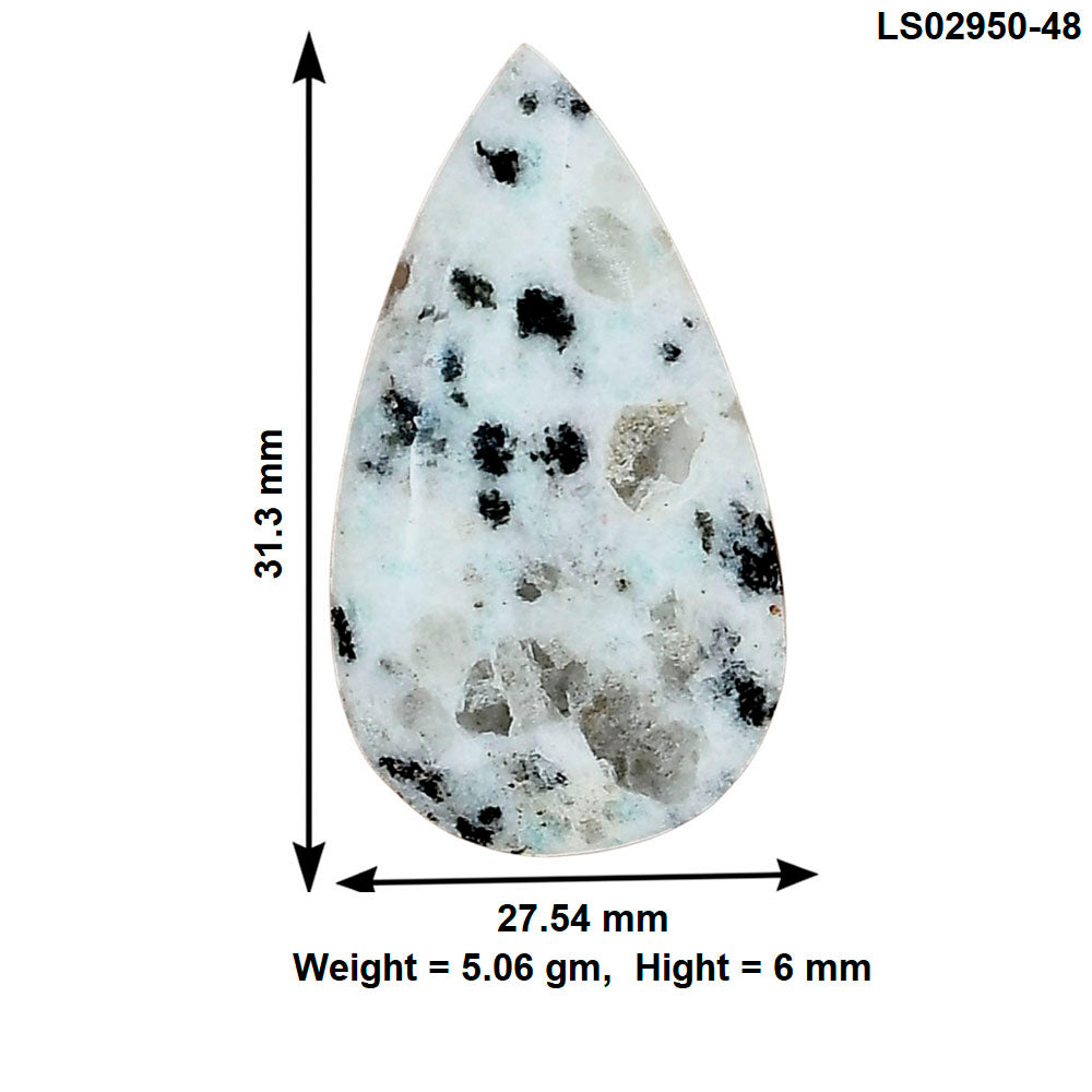 Sesame Jasper 31.3x27.54x6 mm Pear Gemstone LS02950-48