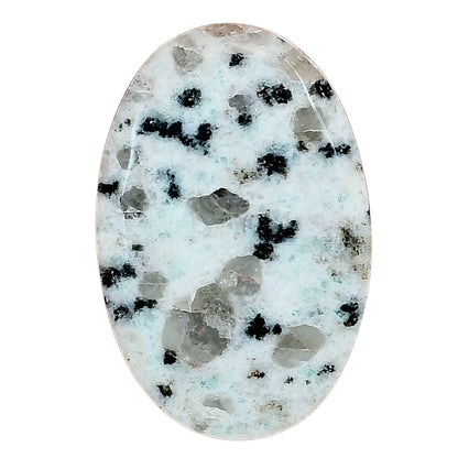 Sesame Jasper 34.4x22.7x5 mm Oval Gemstone LS02951-48