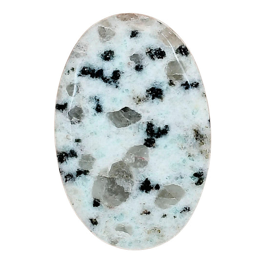Sesame Jasper 34.4x22.7x5 mm Oval Gemstone LS02951-48