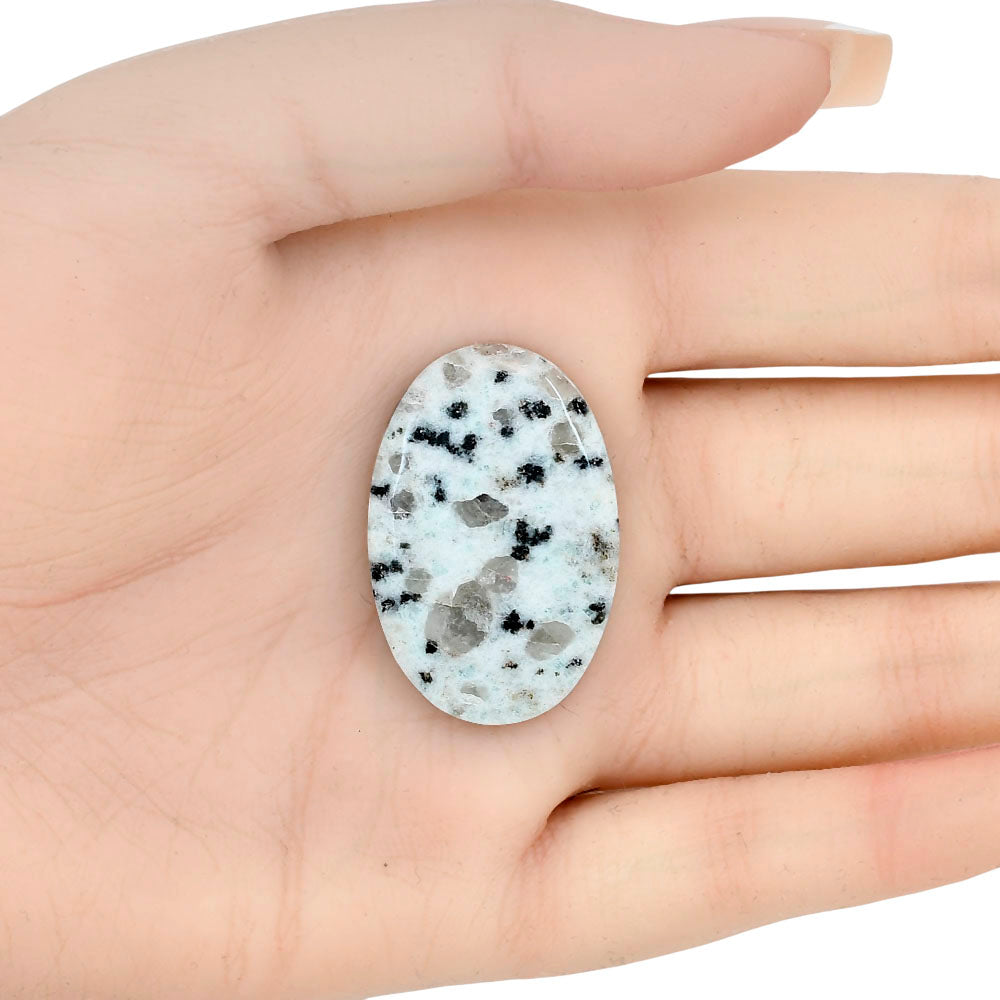 Sesame Jasper 34.4x22.7x5 mm Oval Gemstone LS02951-48