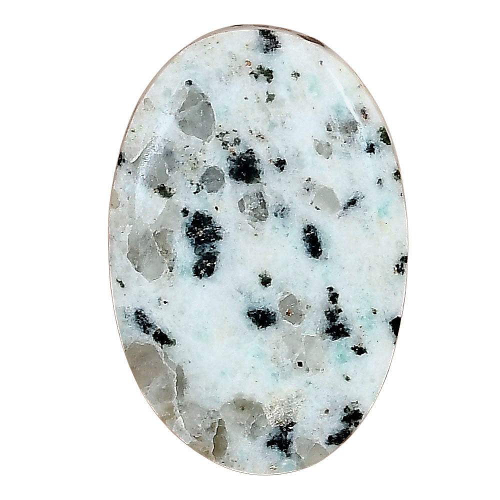 Sesame Jasper 31.54x21.1x5 mm Oval Gemstone LS02953-48