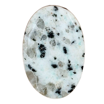 Sesame Jasper 31.54x21.1x5 mm Oval Gemstone LS02953-48