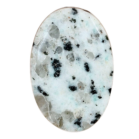 Sesame Jasper 31.54x21.1x5 mm Oval Gemstone LS02953-48