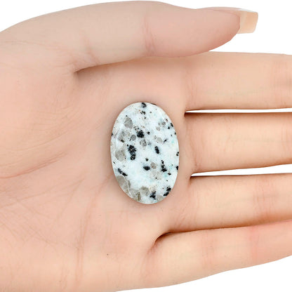 Sesame Jasper 31.54x21.1x5 mm Oval Gemstone LS02953-48