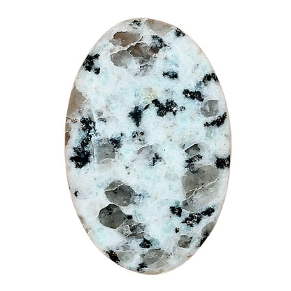Sesame Jasper 31.89x20.72x5.9 mm Oval Gemstone LS02954-48