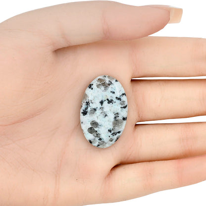 Sesame Jasper 31.89x20.72x5.9 mm Oval Gemstone LS02954-48