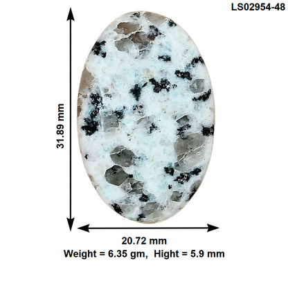 Sesame Jasper 31.89x20.72x5.9 mm Oval Gemstone LS02954-48