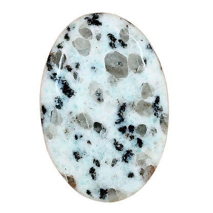 Sesame Jasper 35.5x24x5.5 mm Oval Gemstone LS02956-48