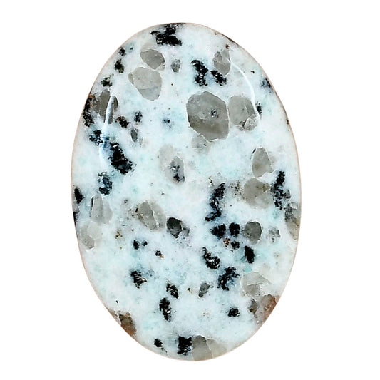 Sesame Jasper 35.5x24x5.5 mm Oval Gemstone LS02956-48