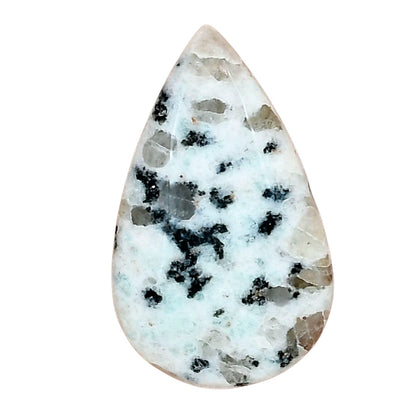 Sesame Jasper 31.4x19x6 mm Pear Gemstone LS02957-48