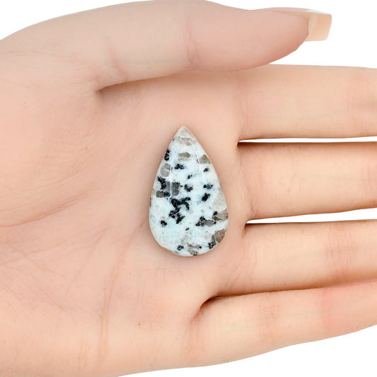 Sesame Jasper 31.4x19x6 mm Pear Gemstone LS02957-48