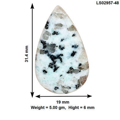 Sesame Jasper 31.4x19x6 mm Pear Gemstone LS02957-48
