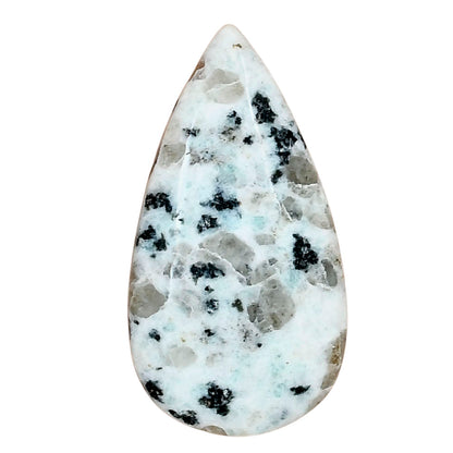 Sesame Jasper 40.03x21.31x6.2 mm Pear Gemstone LS02958-48
