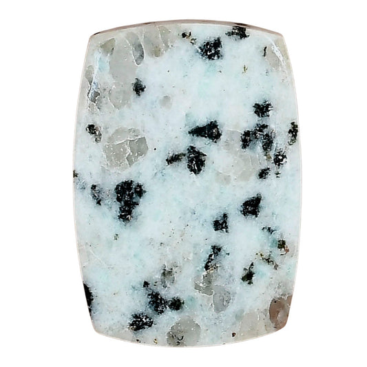 Sesame Jasper 30.47x21.38x5.4 mm Baguette Gemstone LS02959-48