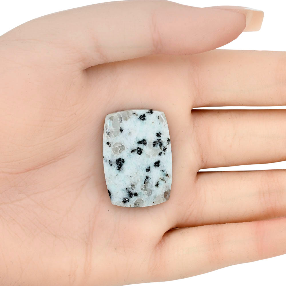 Sesame Jasper 30.47x21.38x5.4 mm Baguette Gemstone LS02959-48