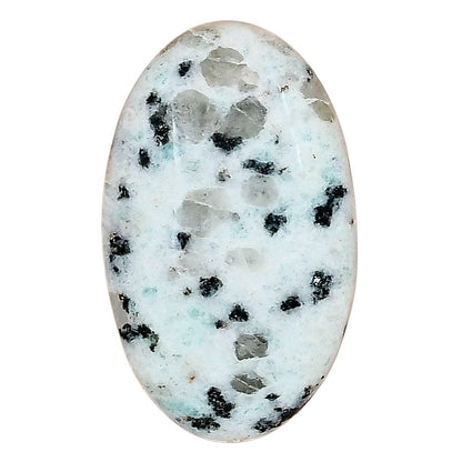 Sesame Jasper 32.57x19.6x7.5 mm Oval Gemstone LS02960-48