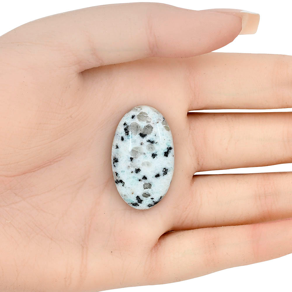 Sesame Jasper 32.57x19.6x7.5 mm Oval Gemstone LS02960-48