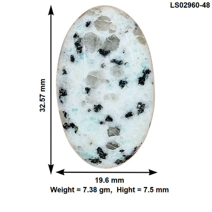 Sesame Jasper 32.57x19.6x7.5 mm Oval Gemstone LS02960-48