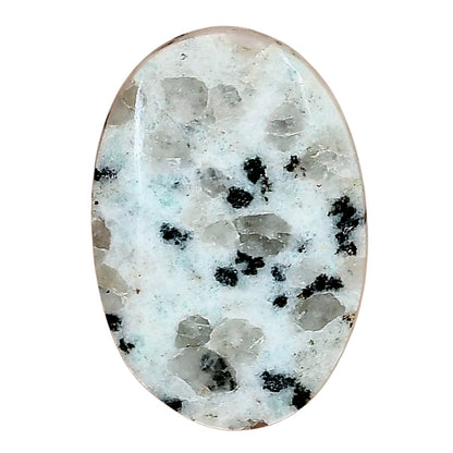 Sesame Jasper 28.83x19.82x4.8 mm Oval Gemstone LS02961-48