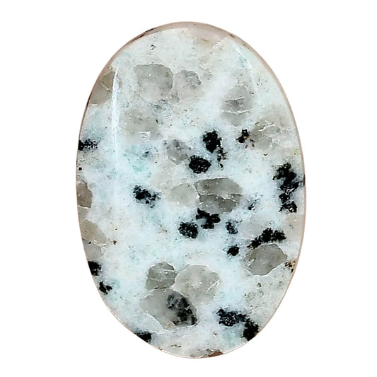 Sesame Jasper 28.83x19.82x4.8 mm Oval Gemstone LS02961-48