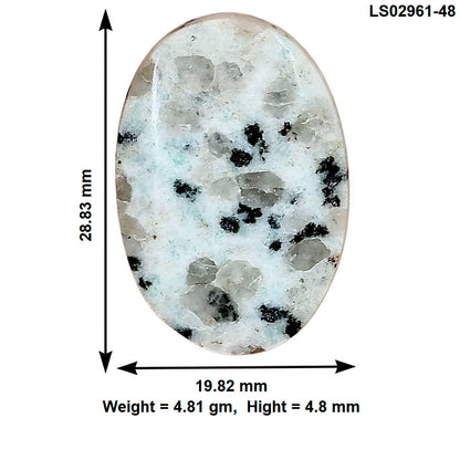 Sesame Jasper 28.83x19.82x4.8 mm Oval Gemstone LS02961-48