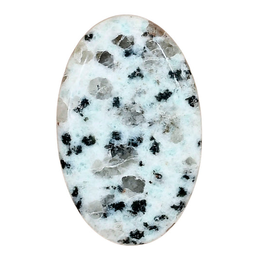 Sesame Jasper 35.59x23.31x5.5 mm Oval Gemstone LS02962-48