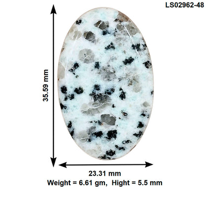 Sesame Jasper 35.59x23.31x5.5 mm Oval Gemstone LS02962-48