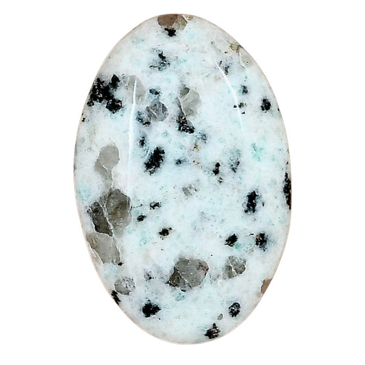 Sesame Jasper 33.02x21.52x6.4 mm Oval Gemstone LS02963-48