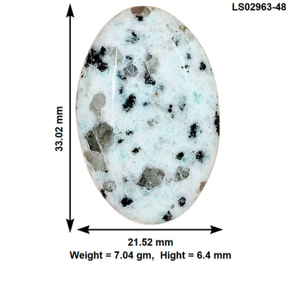 Sesame Jasper 33.02x21.52x6.4 mm Oval Gemstone LS02963-48