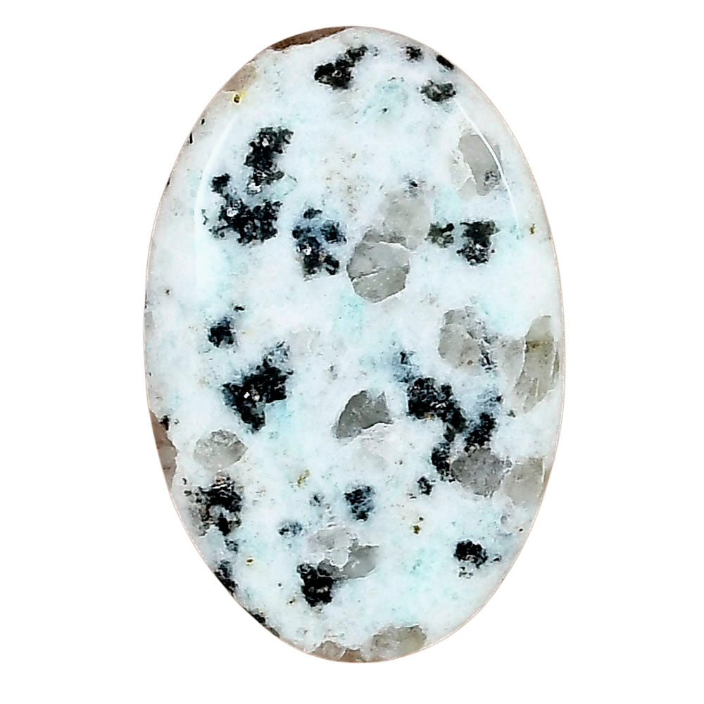 Sesame Jasper 33.2x21.2x4.3 mm Oval Gemstone LS02964-48