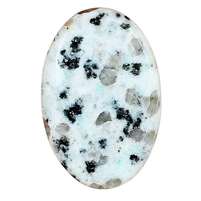 Sesame Jasper 33.2x21.2x4.3 mm Oval Gemstone LS02964-48