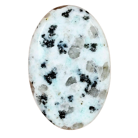 Sesame Jasper 33.2x21.2x4.3 mm Oval Gemstone LS02964-48