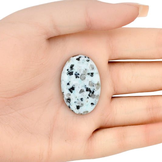 Sesame Jasper 33.2x21.2x4.3 mm Oval Gemstone LS02964-48