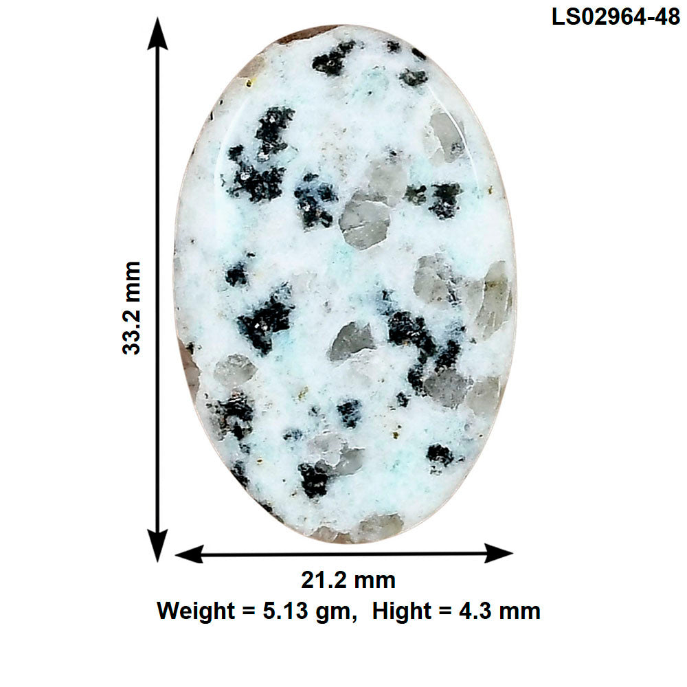 Sesame Jasper 33.2x21.2x4.3 mm Oval Gemstone LS02964-48