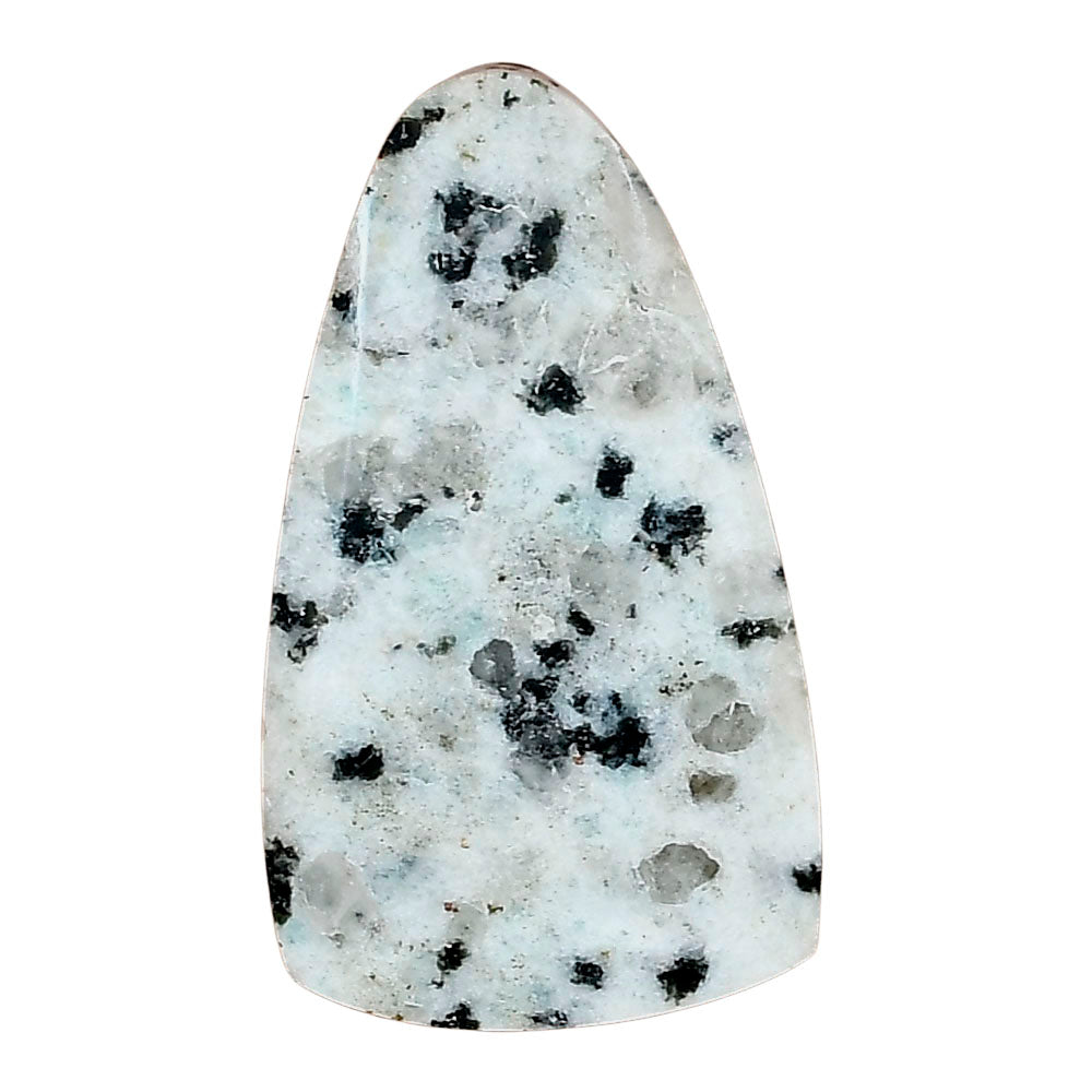 Sesame Jasper 35.03x20.32x4.4 mm Fancy Gemstone LS02965-48