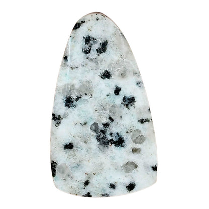 Sesame Jasper 35.03x20.32x4.4 mm Fancy Gemstone LS02965-48