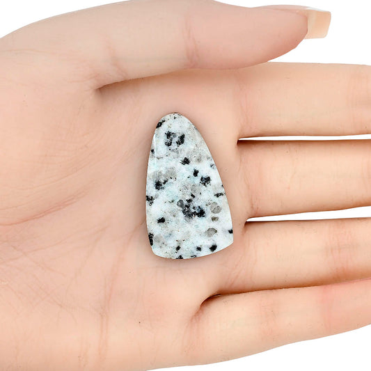 Sesame Jasper 35.03x20.32x4.4 mm Fancy Gemstone LS02965-48