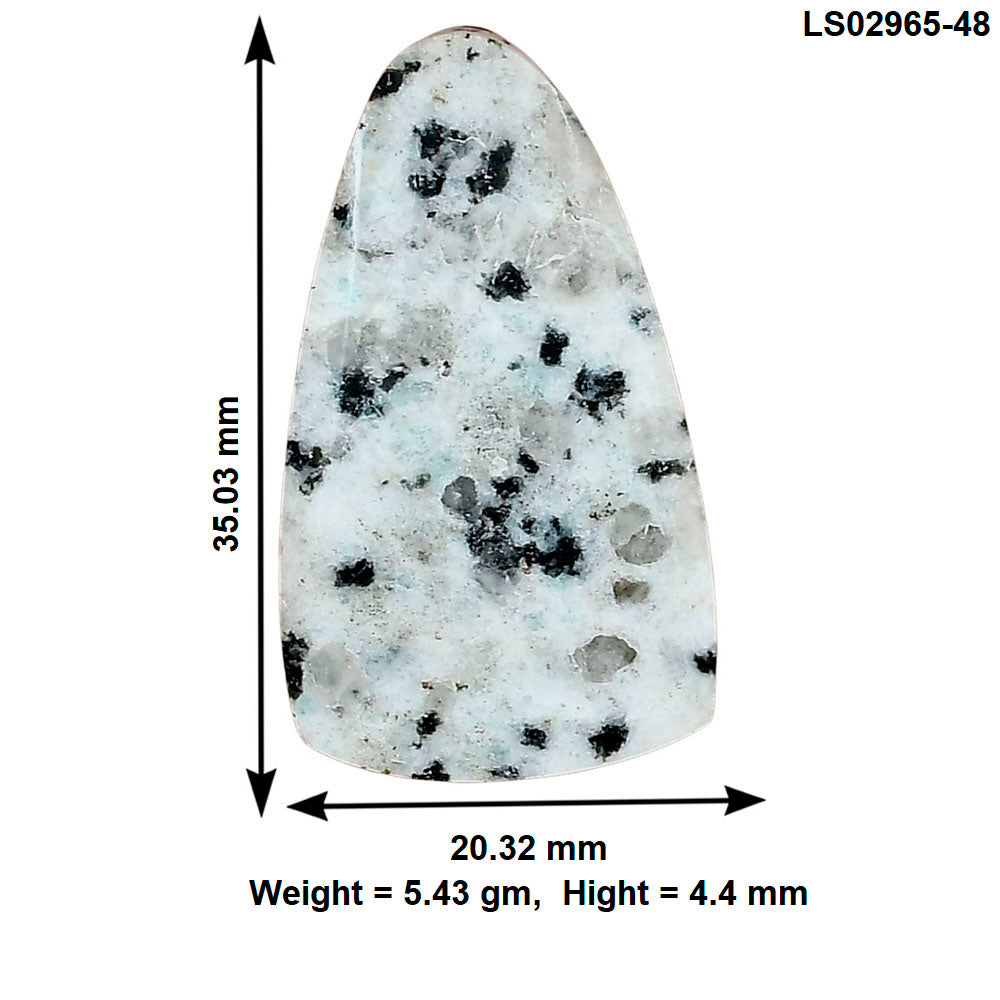 Sesame Jasper 35.03x20.32x4.4 mm Fancy Gemstone LS02965-48