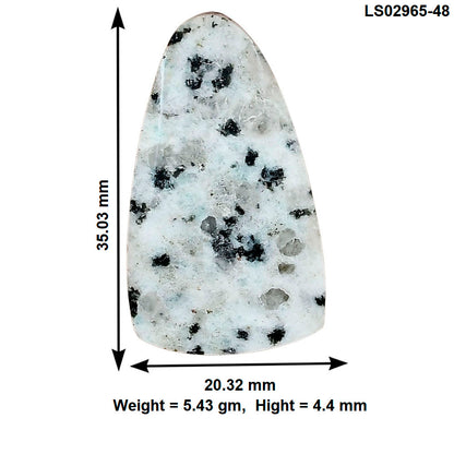 Sesame Jasper 35.03x20.32x4.4 mm Fancy Gemstone LS02965-48